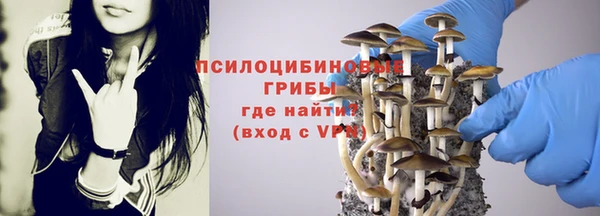 гидра Нея
