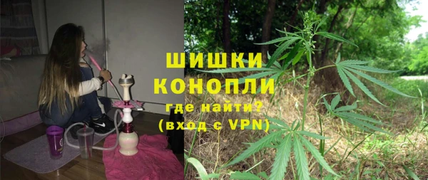 сатива Билибино