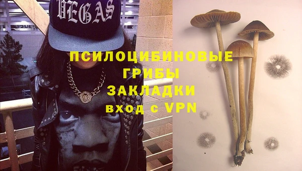 индика Беслан