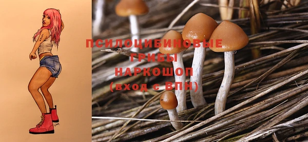 прущая мука Наволоки