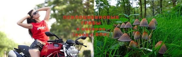 дистиллят марихуана Нефтегорск