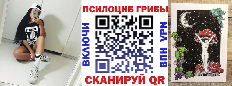 Псилоцибиновые грибы Psilocybine cubensis  blacksprut ССЫЛКА  Ярцево 