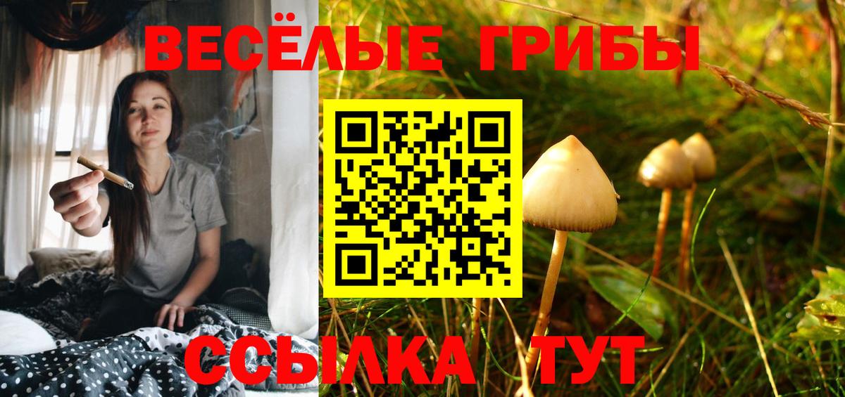 Псилоцибиновые грибы GOLDEN TEACHER Ярцево
