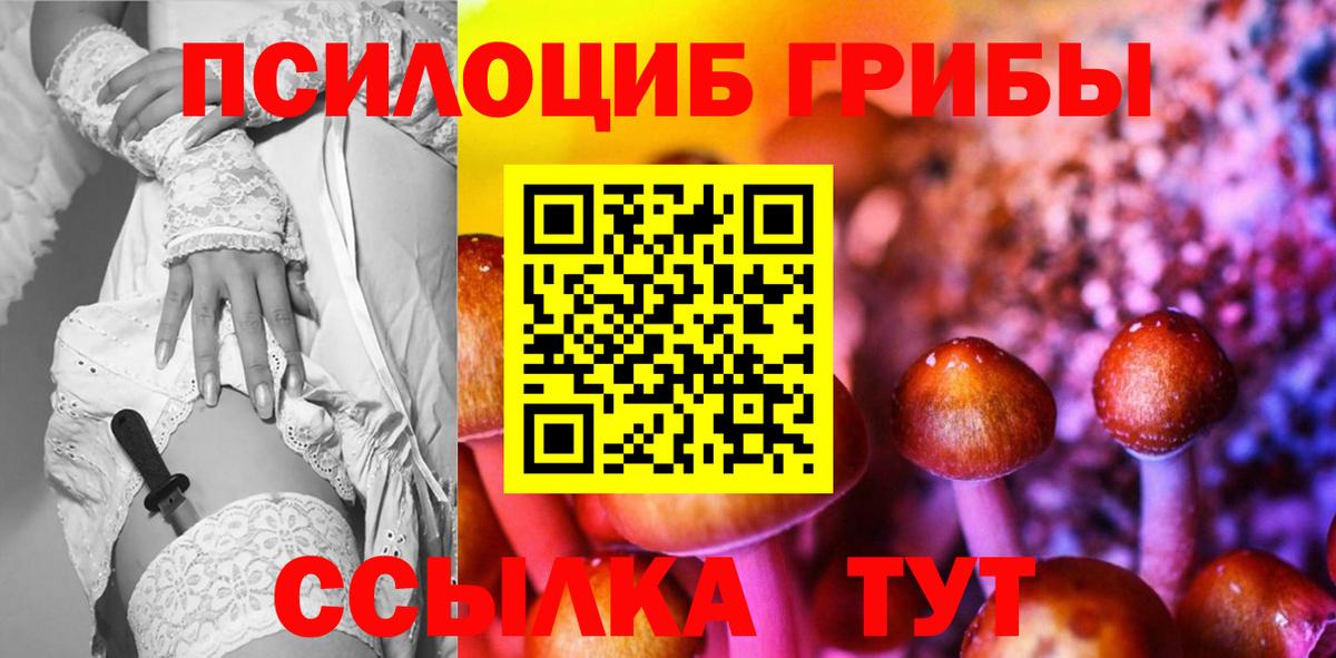 Ярцево  Галлюциногенные грибы MAGIC MUSHROOMS  Вход с VPN 